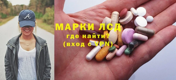 сатива Россошь