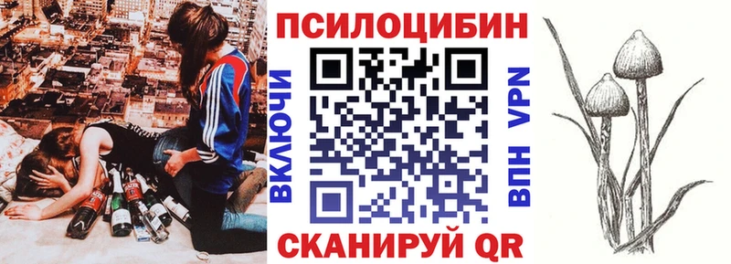 ОМГ ОМГ   Аксай  Псилоцибиновые грибы Psilocybine cubensis 