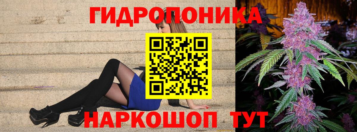 Бошки марихуана сатива  Марихуана семена  Вход с VPN  Аксай 